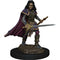 Human Bard Female (W2) Premium Painted Figure