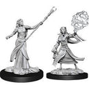 Female Elf Sorcerer (W12)