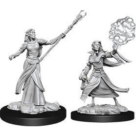 Female Elf Sorcerer (W12)
