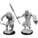 Gnoll & Gnoll Flesh Gnawer (W12)