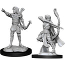 Elf Ranger Female (W13)