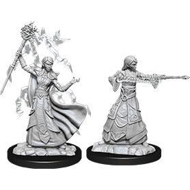 Female Elf Wizard (W12)