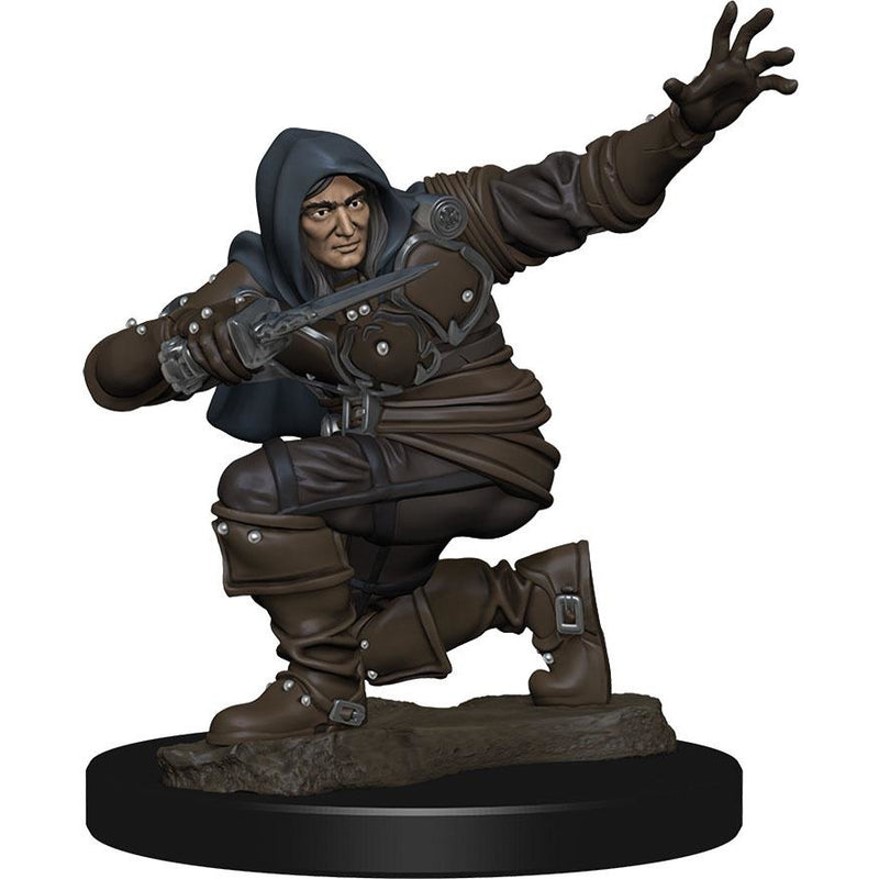Human Rogue Male (W1) Premium Painted Figure