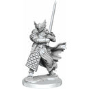 Dungeons & Dragons Frameworks: W01 Dragonborn Paladin Male