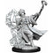 Dungeons & Dragons Frameworks: W01 Human Wizard Male