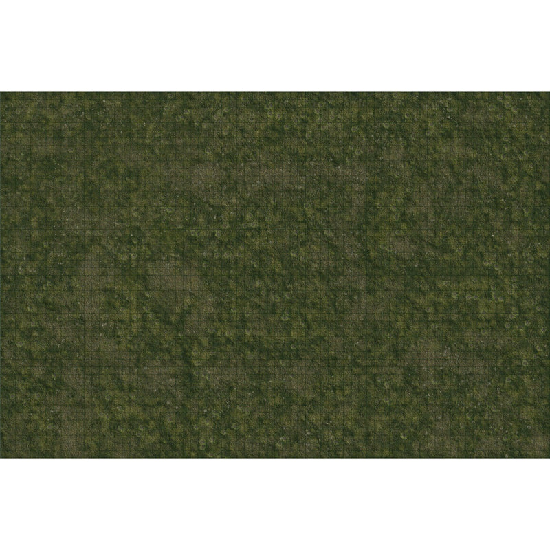 Dungeons & Dragons Fantasy Miniatures: Icons of the Realms Grasslands Battle Mat