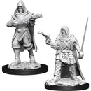 Human Rogue Male (W13)
