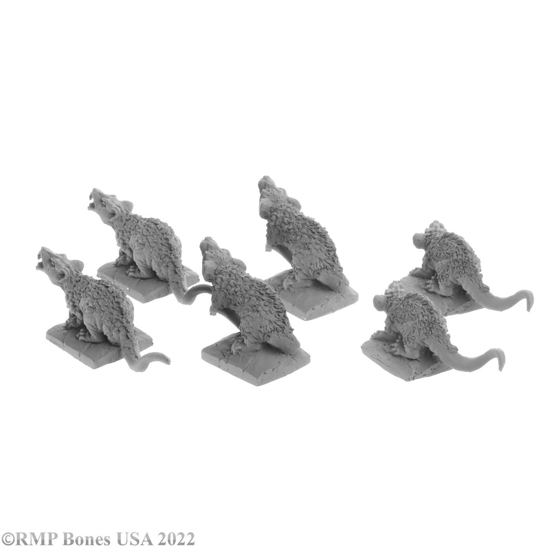 Giant Tomb Rats (6)