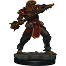 Dragonborn Male Fighter (W3)