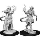 Tiefling Sorcerer Female (W15)