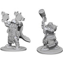 Dwarf Male Cleric (W2)