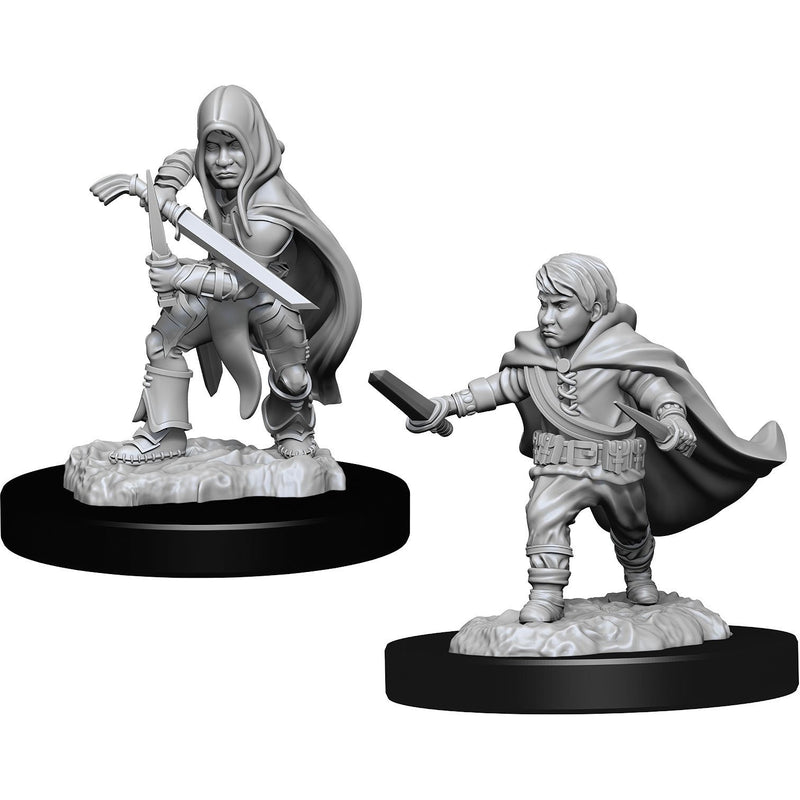 Halfling Rogue Male (W13)