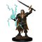 Human Male Cleric (W1) Premium Painted Figure