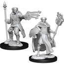 Multiclass Cleric + Wizard Male (W13)
