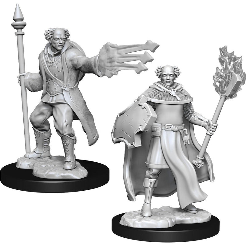 Multiclass Cleric + Wizard Male (W13)