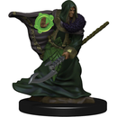 Elf Druid Male (W5)