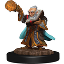 Gnome Wizard Male (W5)