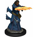Human Wizard Female (W5)